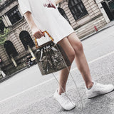 Transparent Spangle Bag